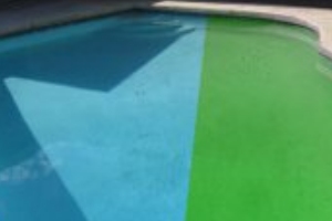 The top four ways to kill algae in a swimming pool